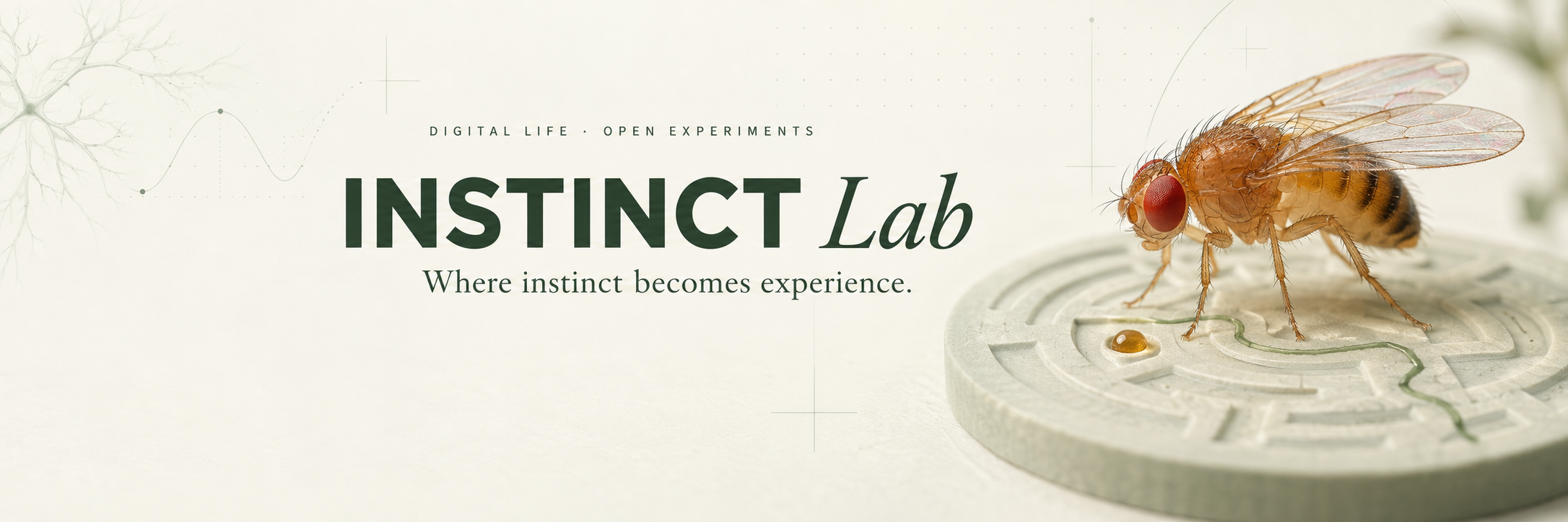 INSTINCT Lab header with a fruit fly exploring a maze